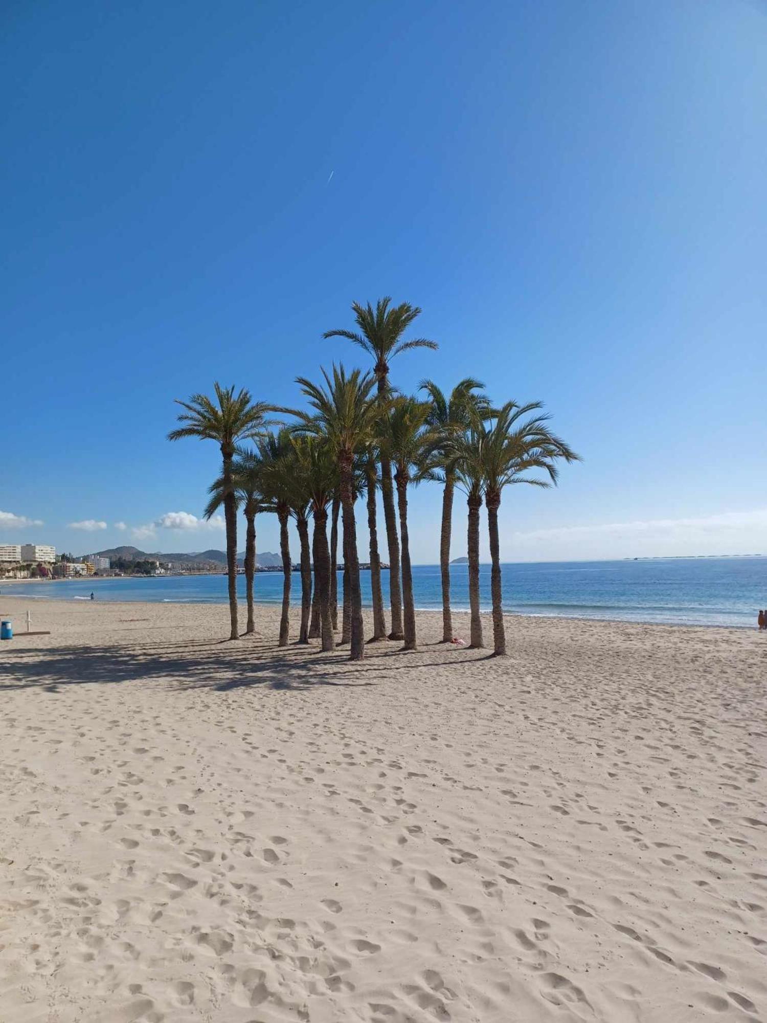 Casa Lieja -